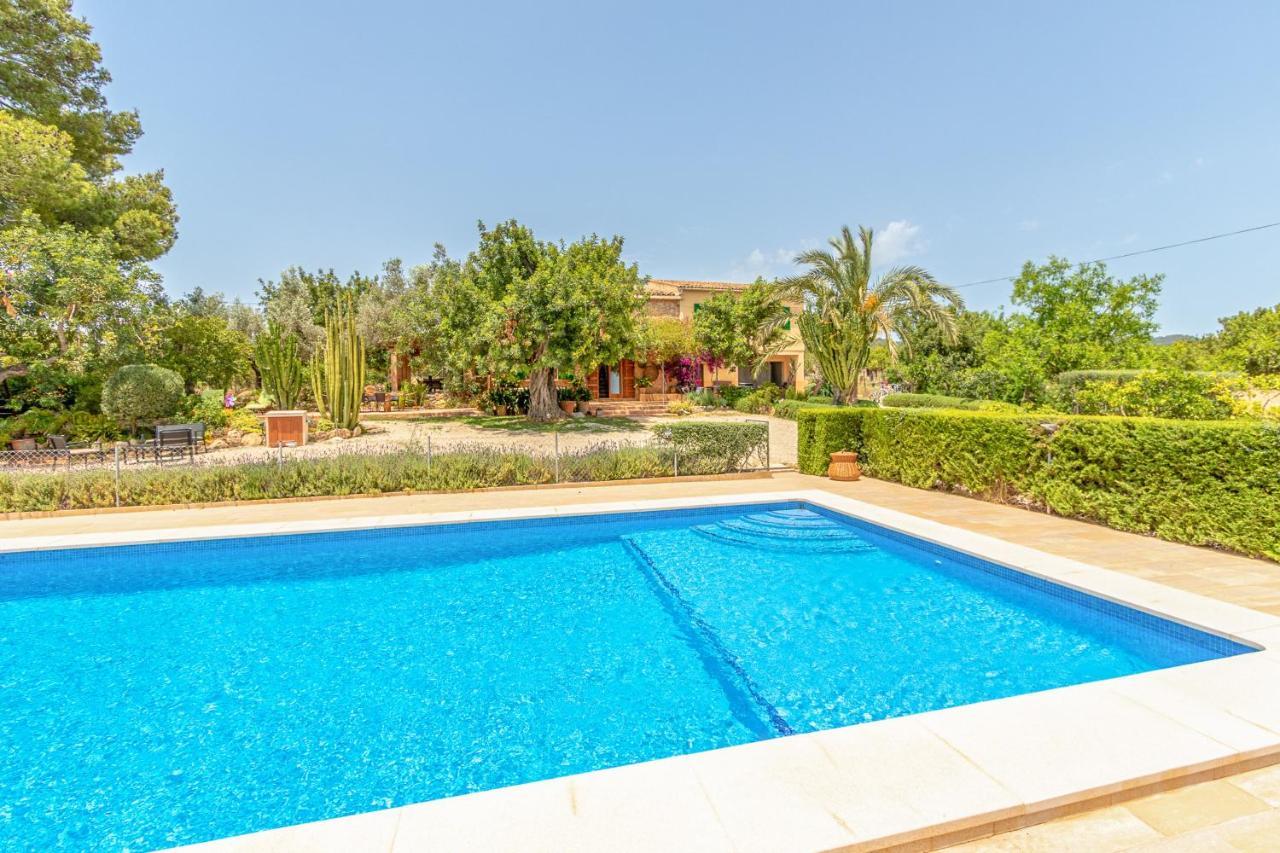 - 35239 Mallorca Binissalem