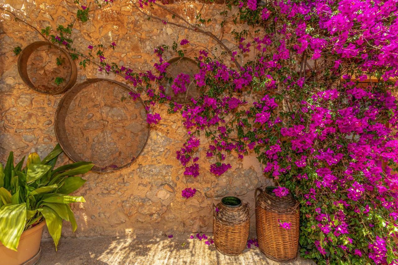 - 35239 Mallorca Ferienhaus Binissalem