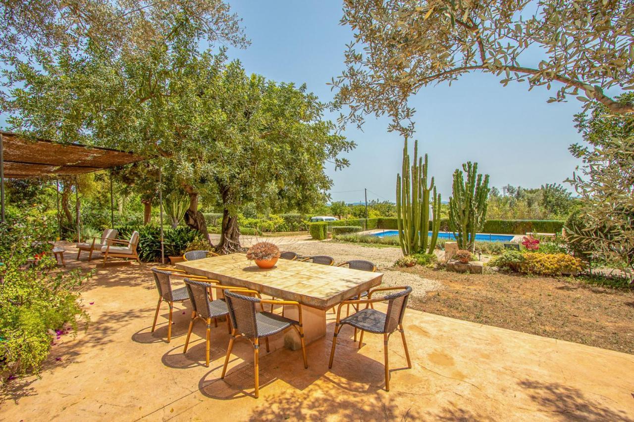 - 35239 Mallorca Ferienhaus Binissalem