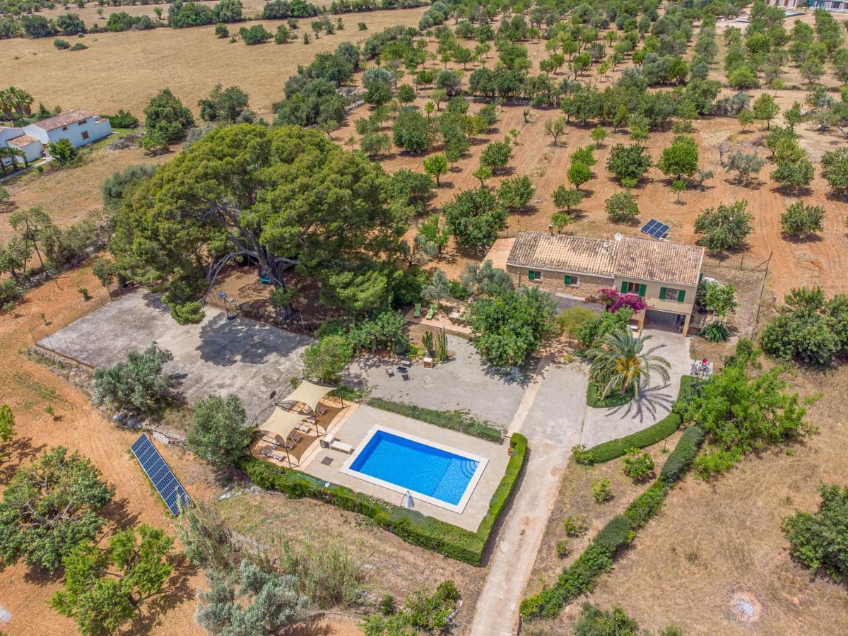 - 35239 Mallorca Ferienhaus Binissalem