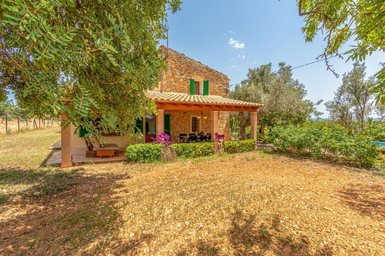 - 35239 Mallorca Binissalem