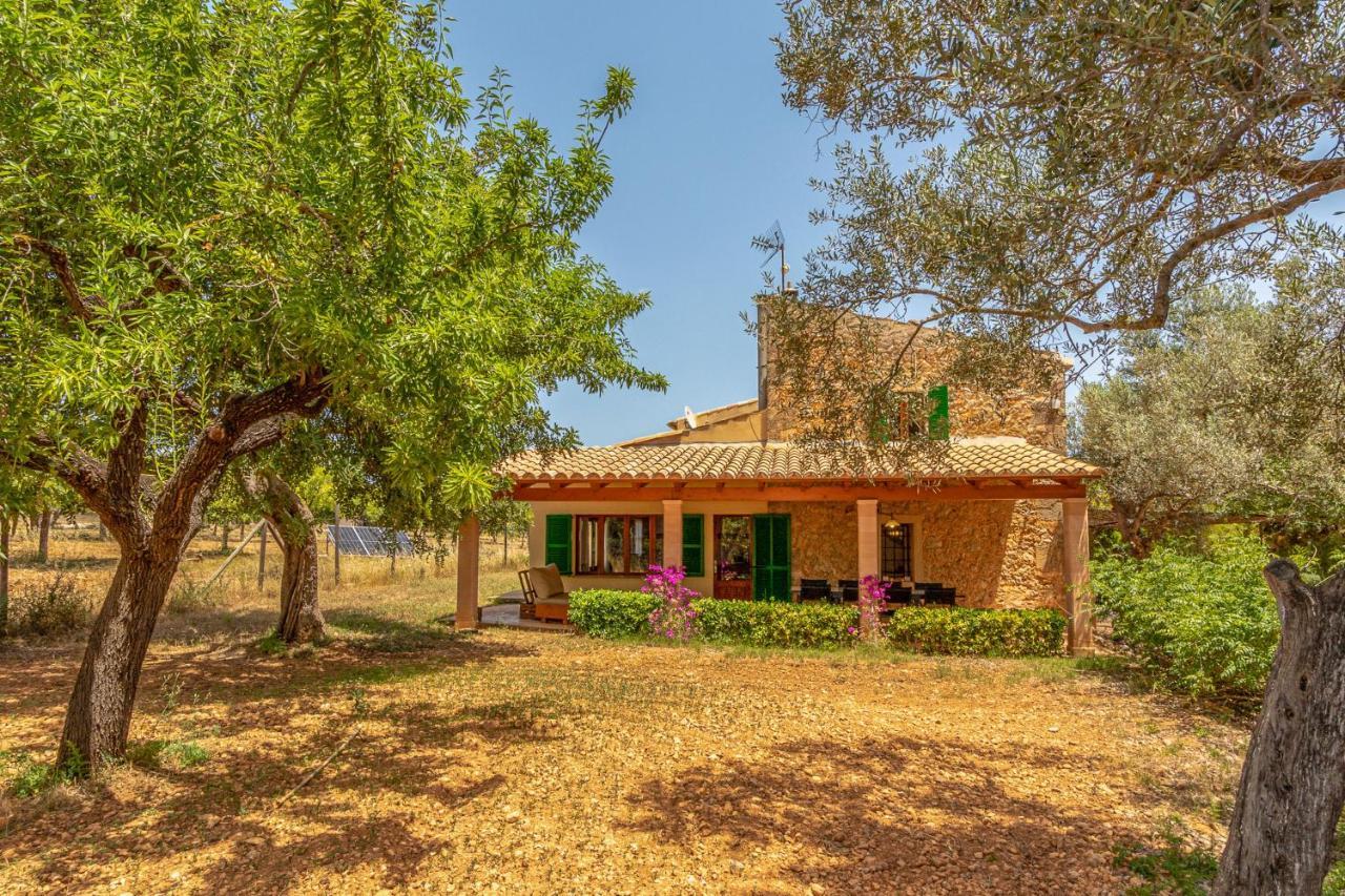 Holiday home - 35239 Mallorca *